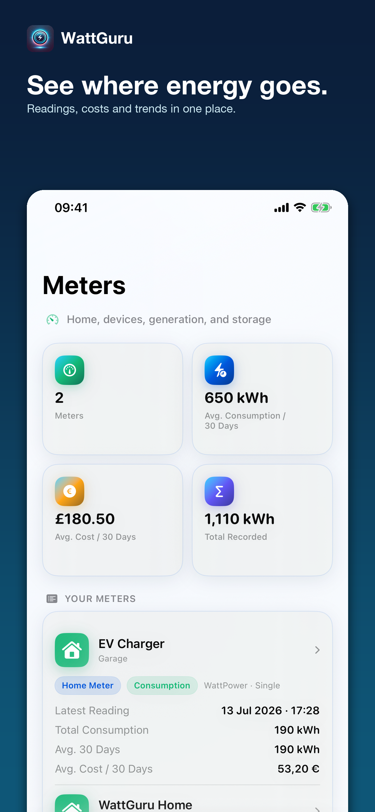 WattGuru Meters and costs