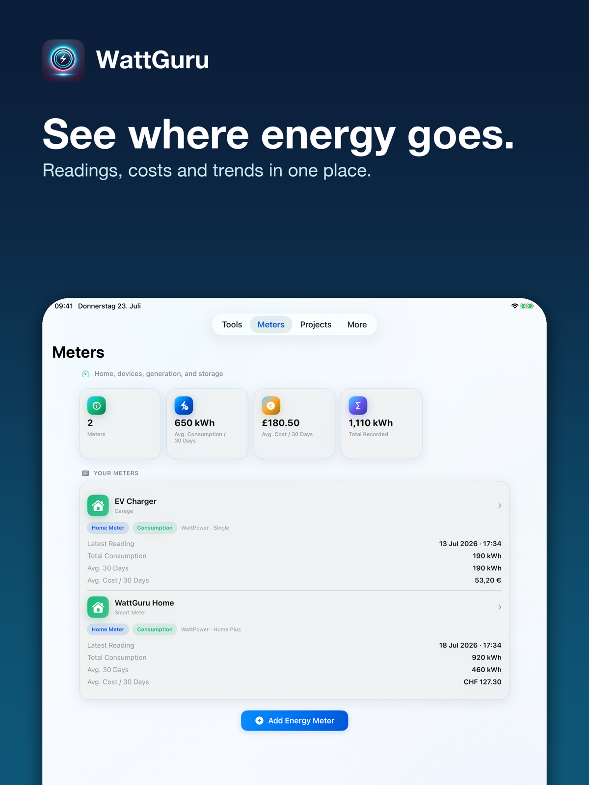 WattGuru Meters and costs